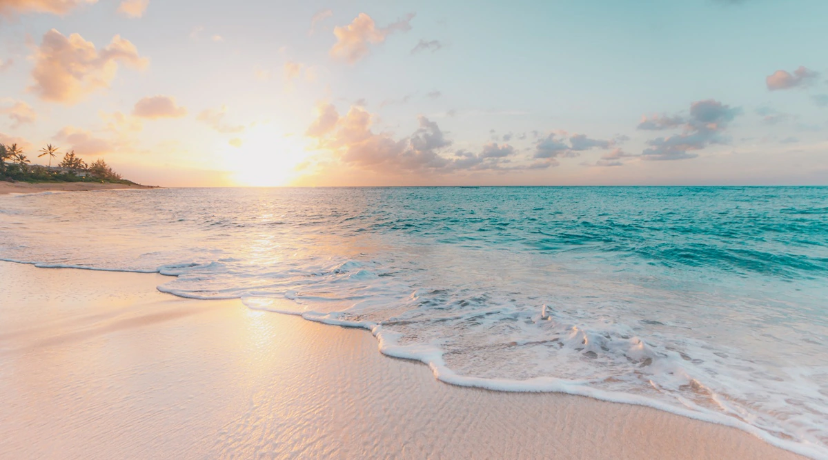 Beaches