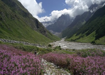 Uttarakhand Trails