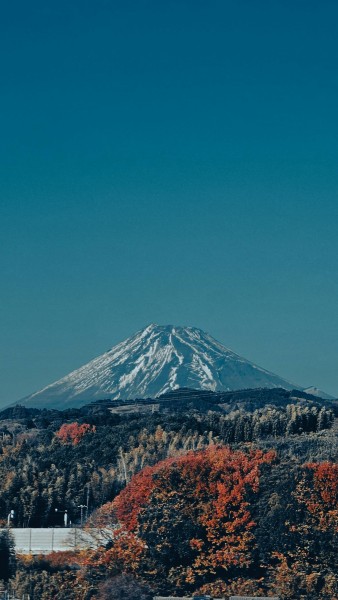 Japan in Bloom – Solo Women’s Edition