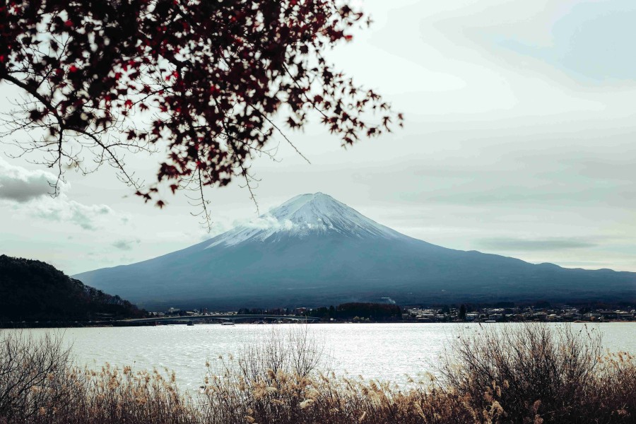 Essence of Japan – A Refined Tokyo Journey