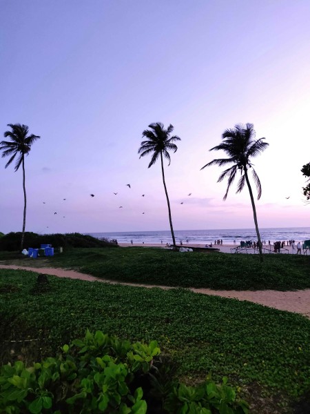 “Waves & Wonders: Explore Goa”