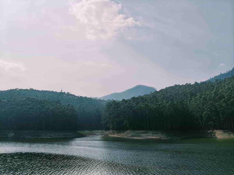 Royal Kerala Retreat